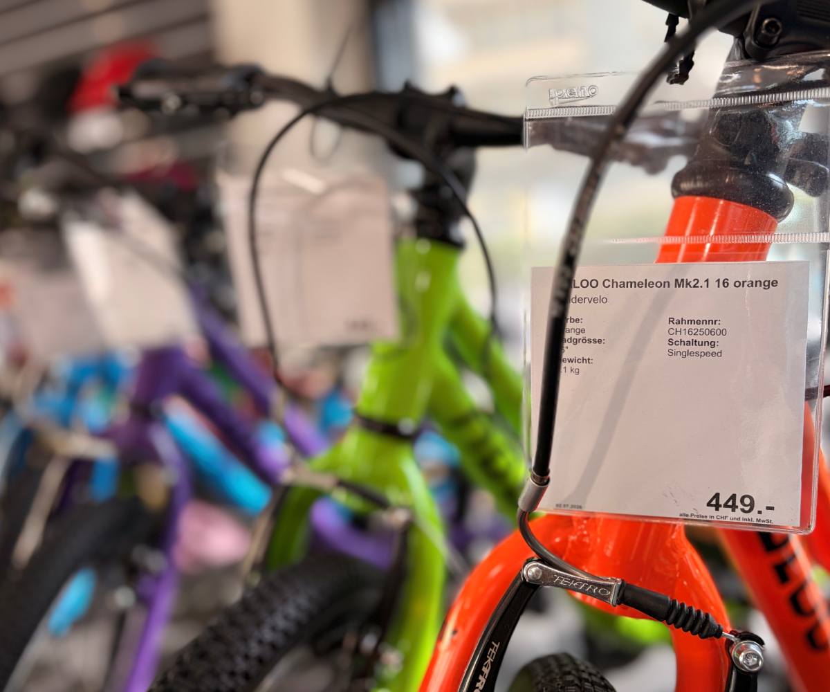 Was kostet ein gutes Kindervelo? Preise und Preis-Leistung erklärt