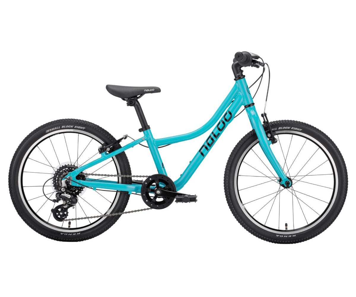 kinderfahrrad türkis 20 zoll NALOO Chameleon 20 | Turquoise