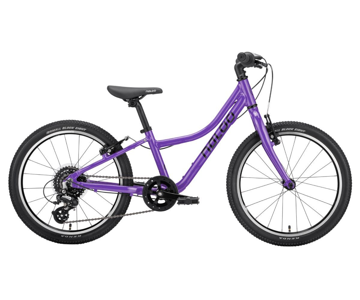 NALOO Chameleon 20 | Purple