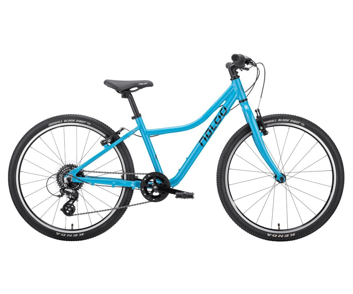 NALOO Chameleon 24
