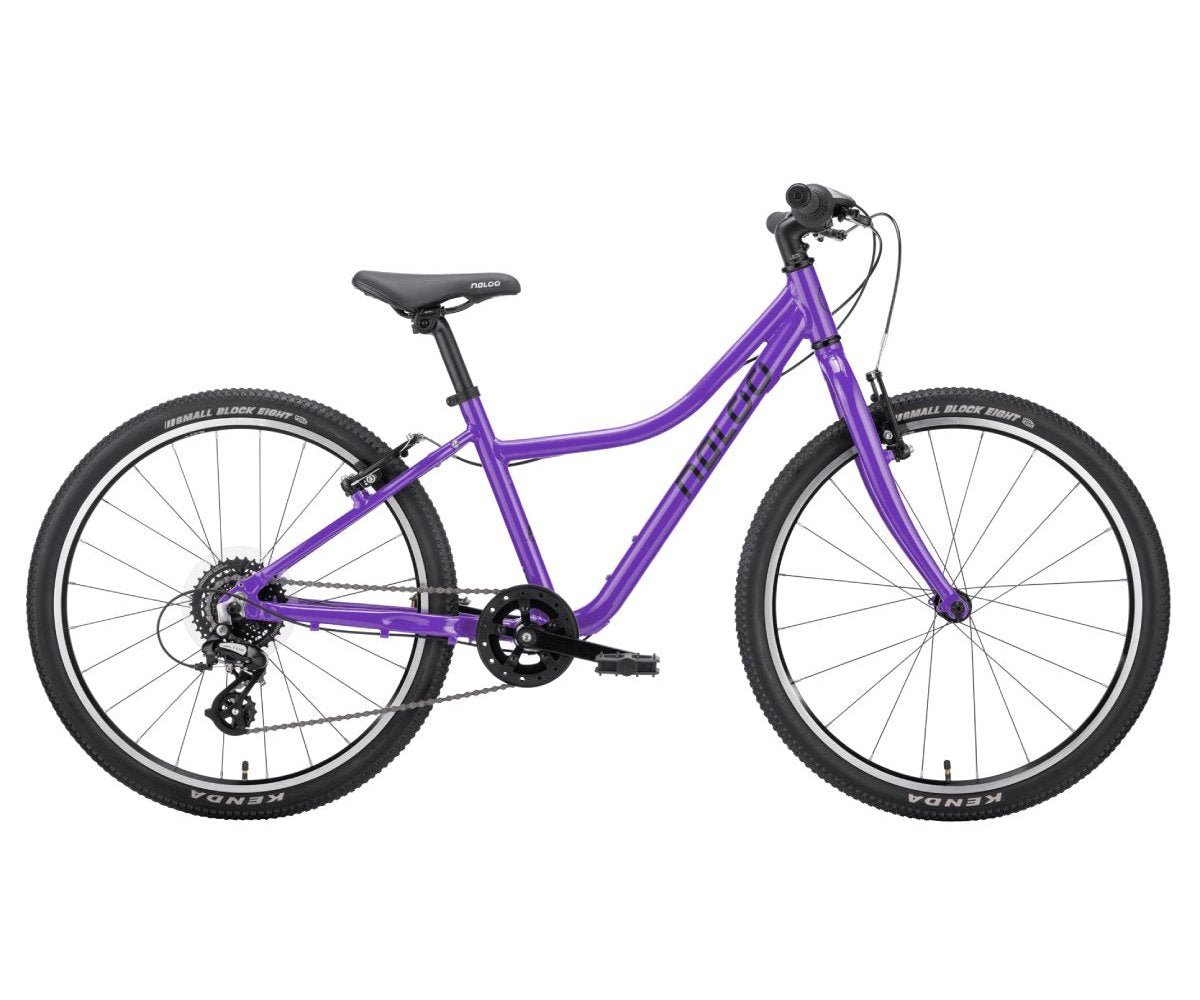 naloo schutzblech 24 NALOO Chameleon 24 | Purple