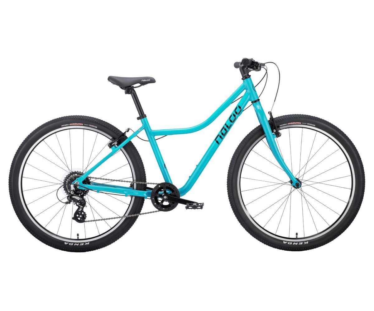 NALOO Chameleon 26