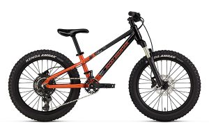 Rocky Mountain Vertex 20 - 2023 Kinderbike